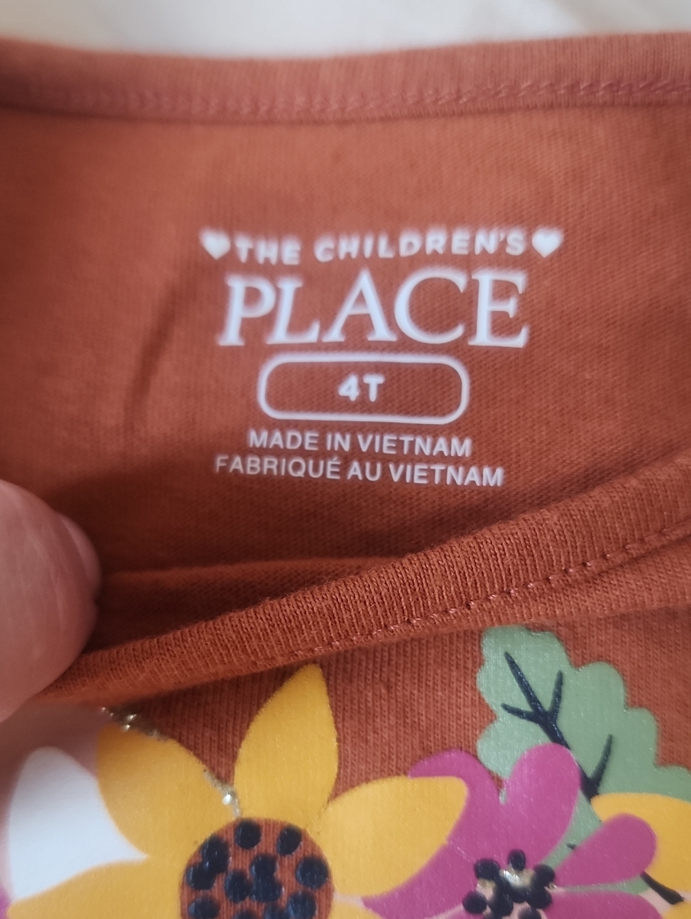 Sz 4T The Children's Place Thankful Rust Top & Woodland Creature Leggings - Picture 2 of 5